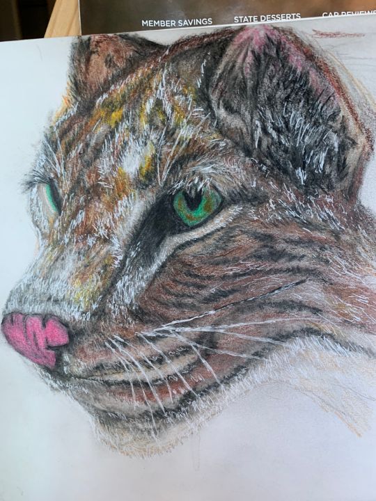 Bob Cat Head - Janis Singleton
