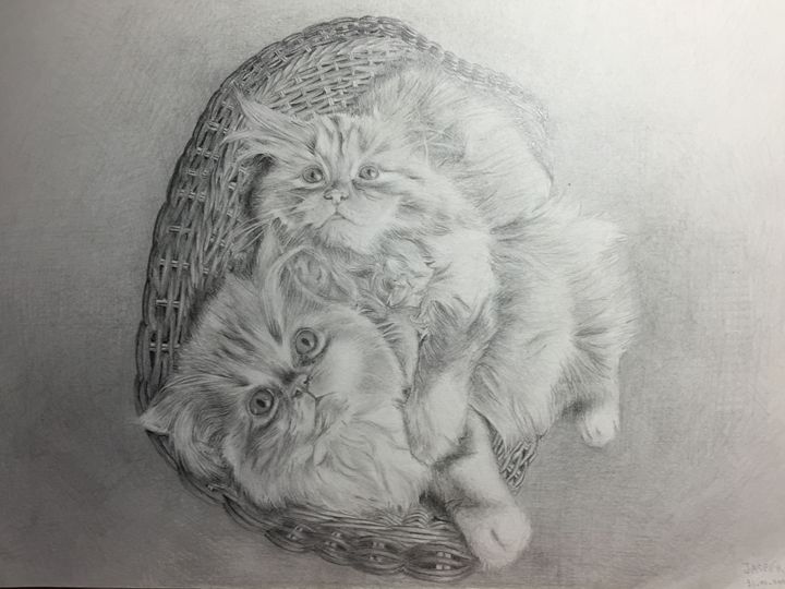 2 Cute Cats in a Basket - Jasper