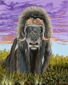 Muskox Animal Diamond Painting 