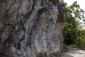 The Wandering Path