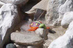 A colored turtle