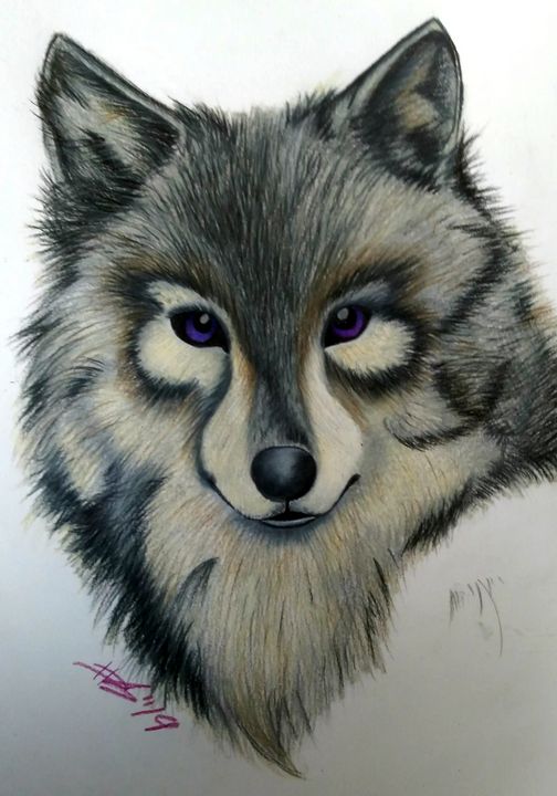 Speed Drawing of a Wolf How to Draw Time Lapse Art Video Colored Pencil  Illustration Artwork Draw Realism - video Dailymotion