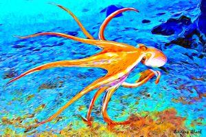 Octopus