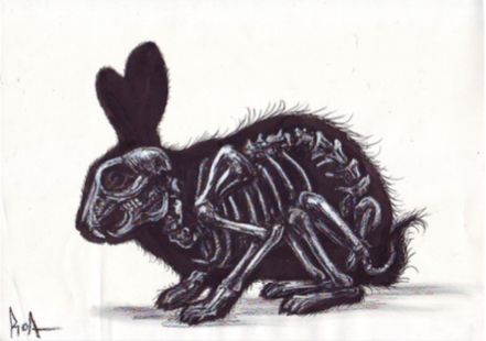 Rabbit Skeleton - SCHEICHENOST Private Gallery - Paintings & Prints, Animals,  Birds, & Fish, Rabbits - ArtPal