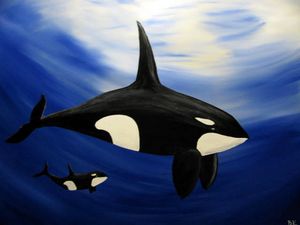 Female Orca and Baby - Art by Brad Kammeyer