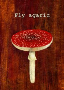 Fly agaric