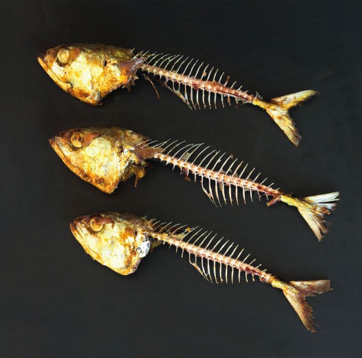 Sardines Food Art Photography Photography, Food & Beverage, Other