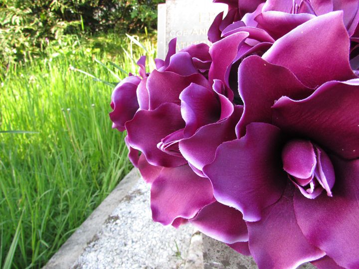 Purple Flowers - Tahlia paige