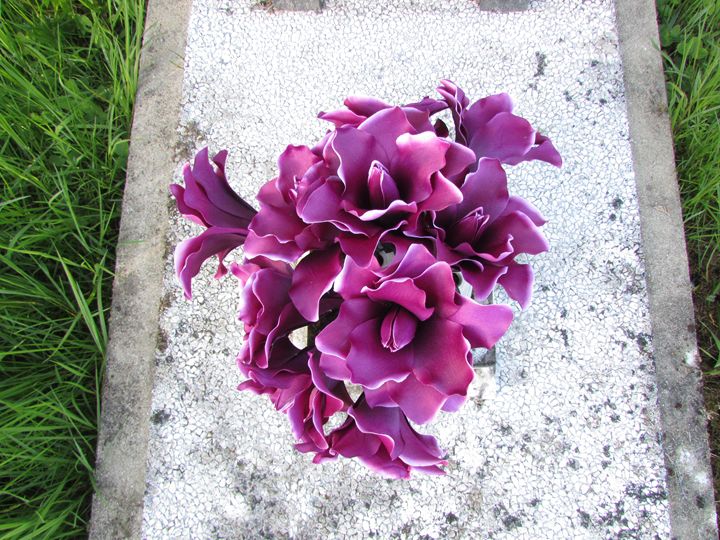 Purple Flowers - Tahlia paige