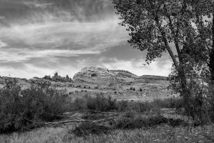 Ridge in B & W - David Russell Photography