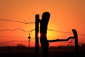 Kansas Fence Line sunset silhouette