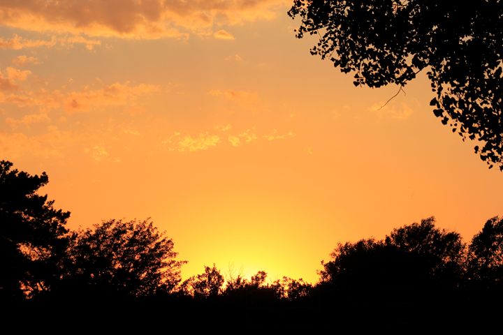 Kansas Golden Sunset with tree's - Robert D Brozek