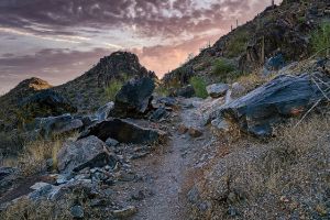 Desert Trail Sunrise - Brian Kerls Photography