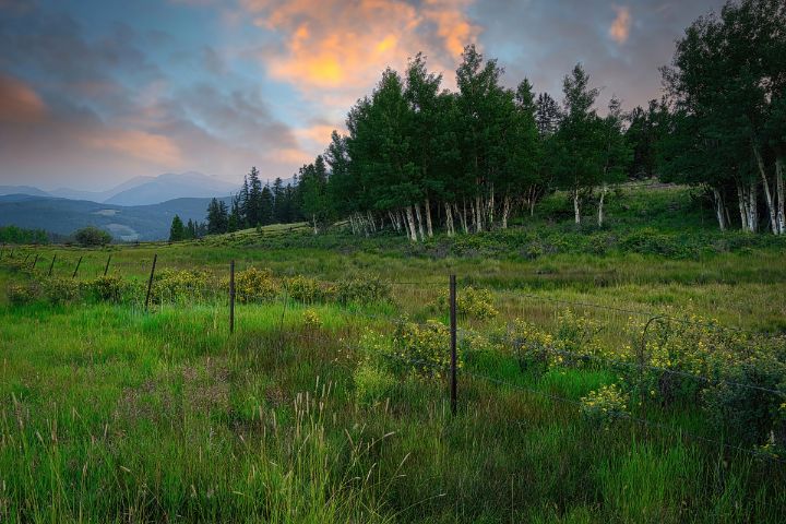 Alpine Meadow Sunrise - Brian Kerls Photography