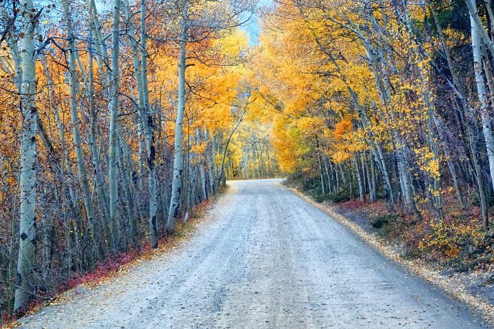October Road - Brian Kerls Photography