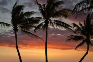 Tropical Sunset - Brian Kerls Photography