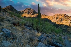 Dawn in the Desert Mountains - Brian Kerls Photography