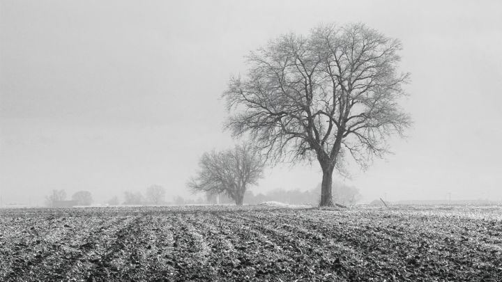Winter Fields - Brian Kerls Photography