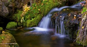 Alpine Waterfall - Brian Kerls Photography