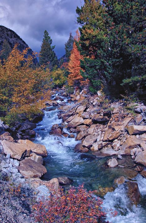 Autumn on Chalk Creek - Brian Kerls Photography
