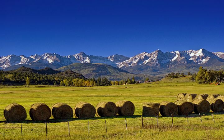 High Country Harvest - Brian Kerls Photography
