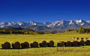 High Country Harvest - Brian Kerls Photography
