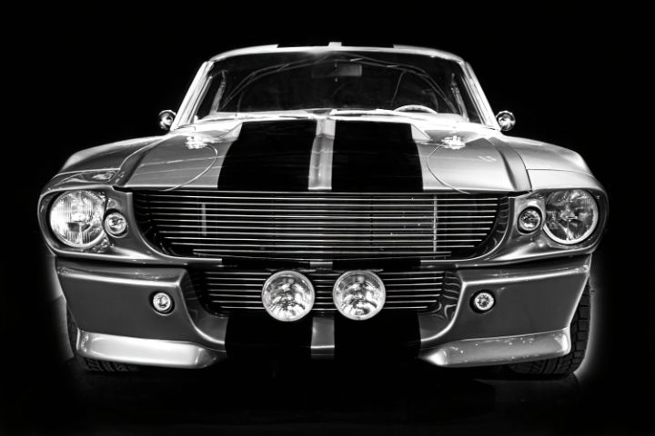 Mustang GT 500 - Brian Kerls Photography