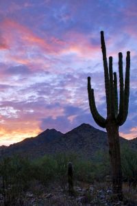 Desert Southwest Sunrise - Brian Kerls Photography