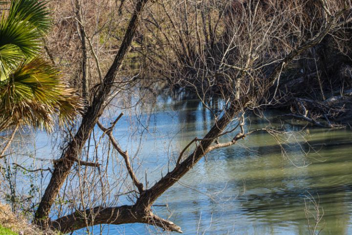 Victoria, Texas River Series - Vickielynne - Photography, Landscapes ...