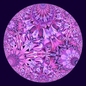 Hyperbolic Purple Hydrangea