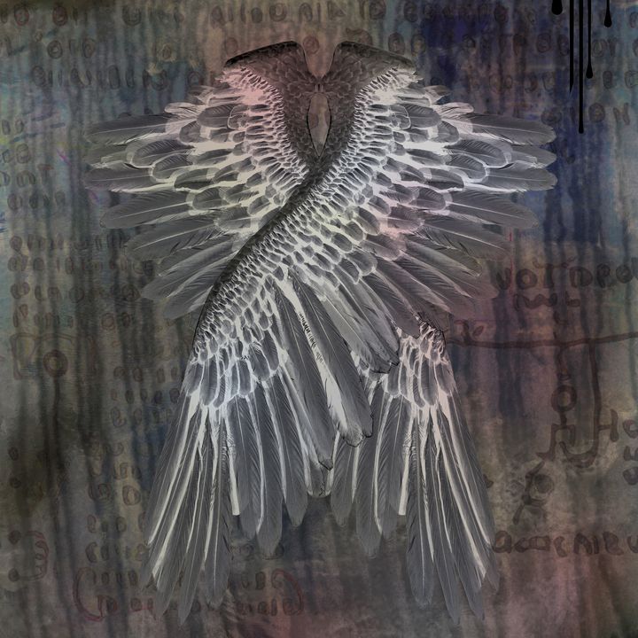 Angel Wings - rolffimages
