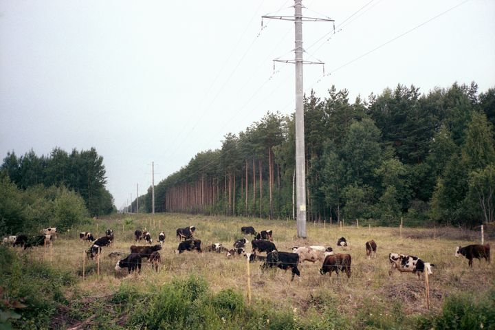 Pastorale. Province. - Mikhail Druzhinin