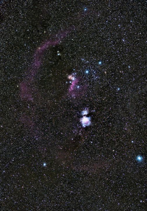 Orion Molecular Cloud Complex - Eric's Photos - Photography, Astronomy ...