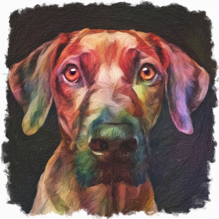 Alert Hound Digitalpetportraits Digital Art Animals Birds Fish Dogs Puppies Other Dogs Puppies Artpal