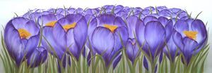 Saffron.