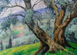 The olive trees - Corfu Paintings by Sefer