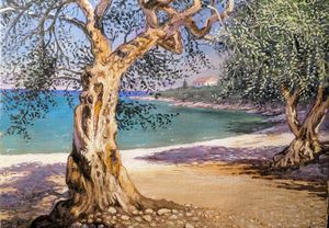 The Olive trees seaside - Corfu Paintings by Sefer