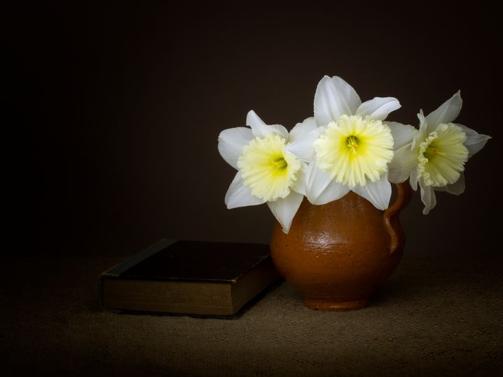 Vintage style daffodils with book - Judith Flacke Still Life