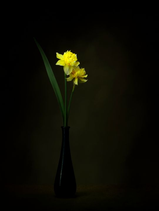 Beautiful double flowered daffodils - Judith Flacke Still Life