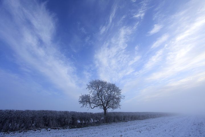 Howes Winter Hoare frost winter tree Rockingham - Dave Porter Landscape Photography ...