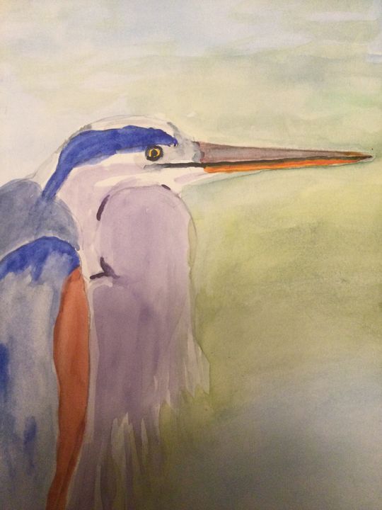 Great blue heron - Jill Midthune