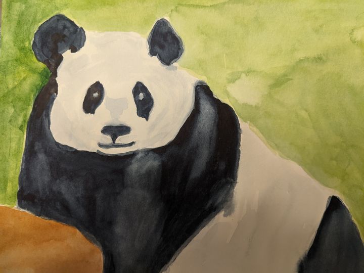 Panda - Jill Midthune