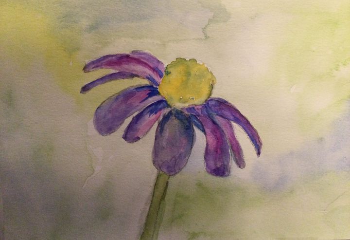 Purple flower - Jill Midthune