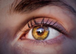 Eye to the Sun
