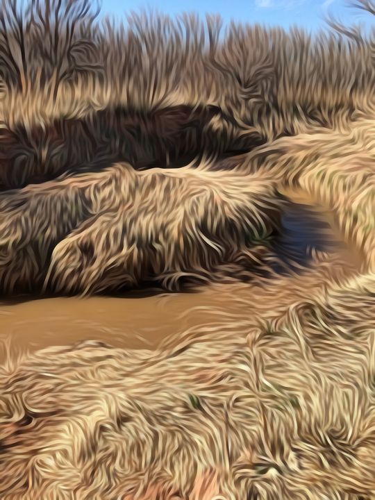 Creek in the Grass - Diana Penn Artography