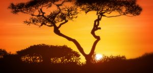 Art — Incredible Africa