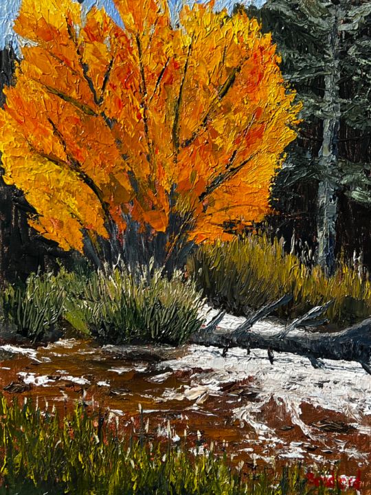 Sunny Bradford Paintings & Prints