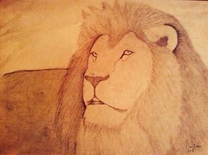 King lion