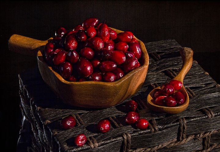 Cranberries - Victoria's Still Life