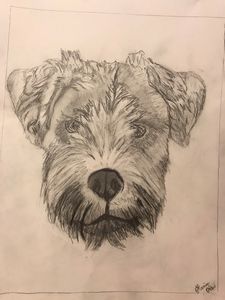 Custom dog portraits